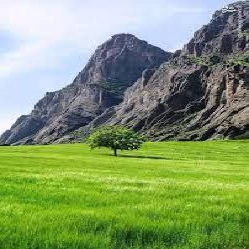 بزن بتکون بزن بزن بتکون بزن بتکون که موزیکامون ترکوند